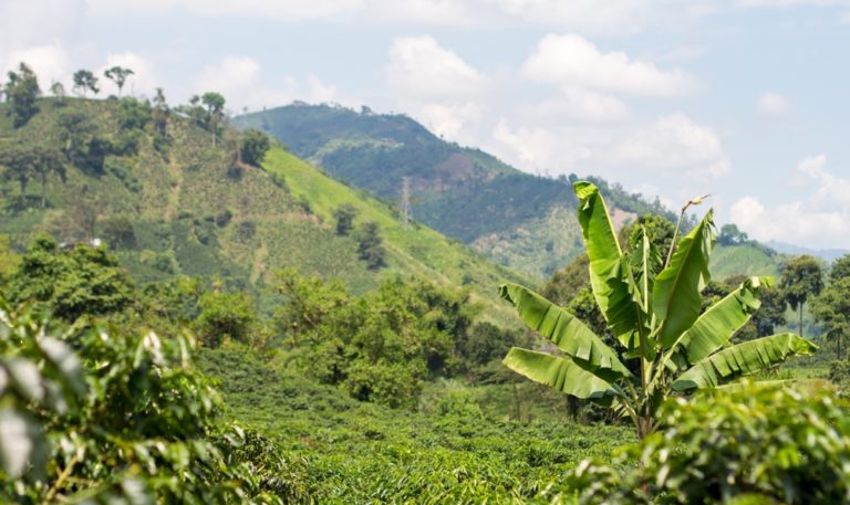 Report Udržitelné Česko 2025 inspiruje hned 17 cestami vedoucími k&nbsp;ziskové udržitelnosti